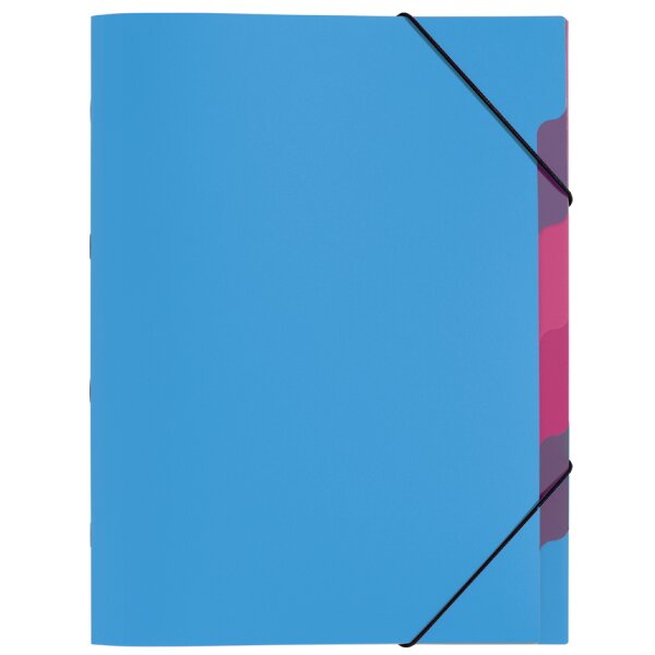 PAGNA Ordnungsmappe "Funky School", DIN A4, PP, 5 Fächer