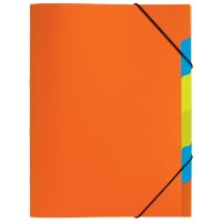 PAGNA Ordnungsmappe "Funky School", DIN A4, PP, 5 Fächer