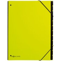 PAGNA Pultordner Trend, DIN A4, 12 Fächer, lila