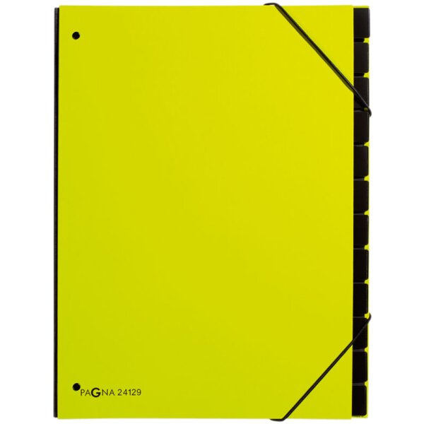 PAGNA Pultordner Trend, DIN A4, 12 Fächer, lindgrün