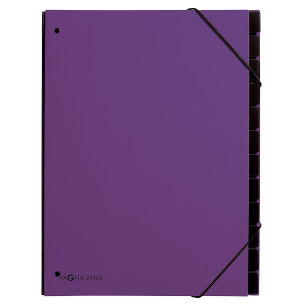 PAGNA Pultordner Trend, DIN A4, 12 Fächer, lindgrün