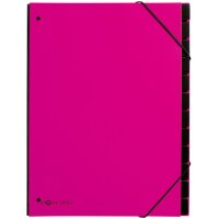 PAGNA Pultordner Trend, DIN A4, 12 Fächer, lindgrün