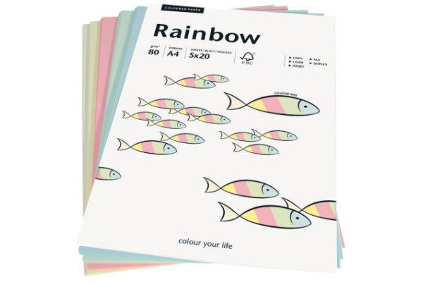 PAPYRUS Rainbow Mixpack 88043187 pastell 100 feuilles