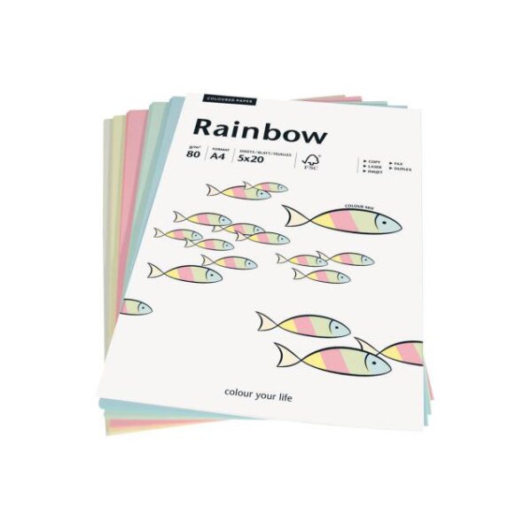 PAPYRUS Rainbow Mixpack 88043187 pastell, 80g 100 Blatt