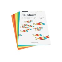 PAPYRUS Rainbow Mixpack 88043188 intensive 100 feuilles