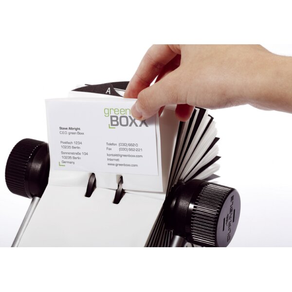DURABLE Fichier pour cartes de visite VISIFI, argent