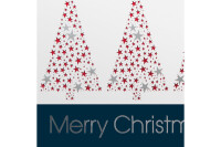 SIGEL Weihnachts-Karten Business A4 DS032 Greetings,2 3 mit Umschlag