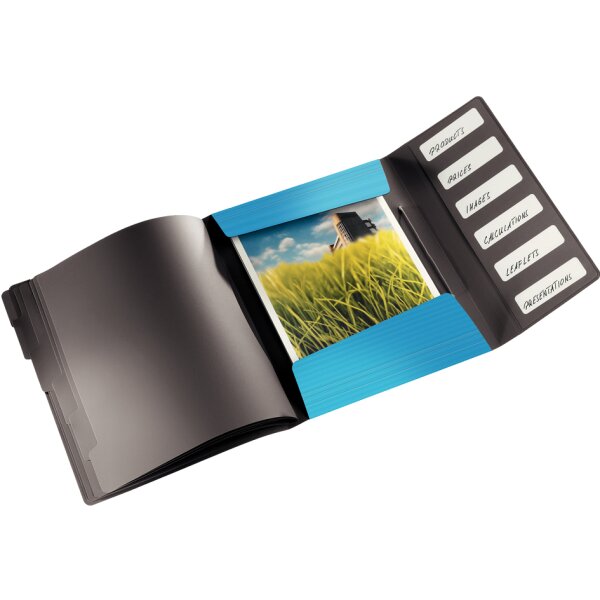 LEITZ Ordnungsmappe Solid, DIN A4, PP, 6 Fächer, hellblau