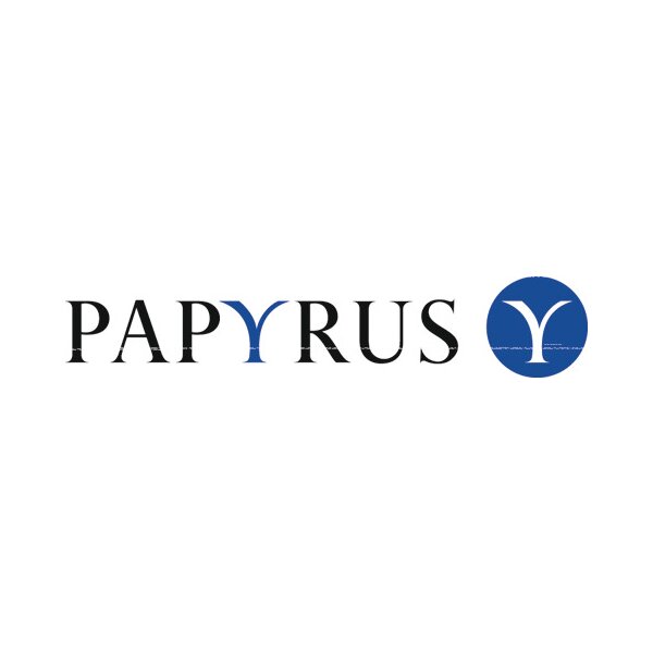 PLANO SPEED Kopierpapier A4 88113572 weiss, 80g SB 500 Blatt