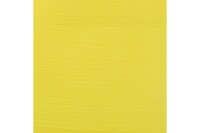 AMSTERDAM Peinture acrylique 250ml 17122740 nickeltit.jaune 274