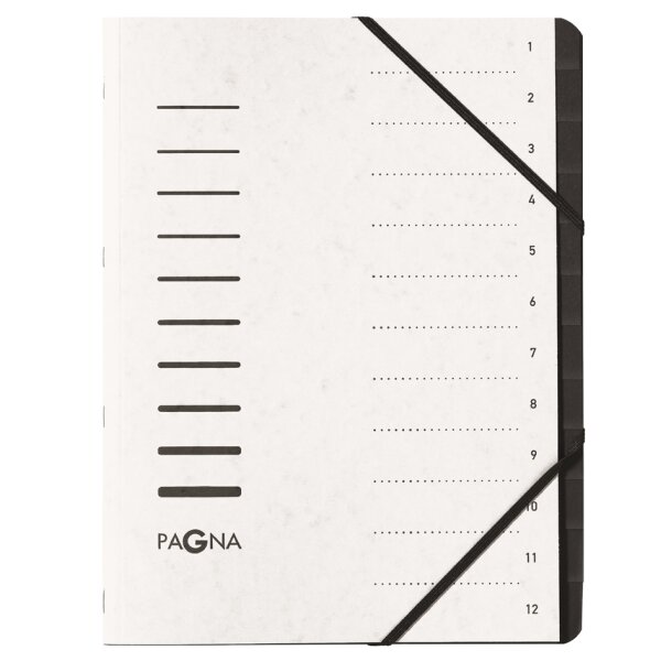 PAGNA Trieur Sorting File, 12 compartiments, bleu clair