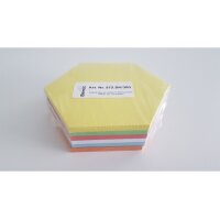 BEREC Cartes, 6 couleurs ass. 572.SK300 190x165mm 300 pcs.