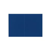 BIELLA Vertikalmappe Recycolor 25342705U 32x23,3/24,3cm, blau 100 St.