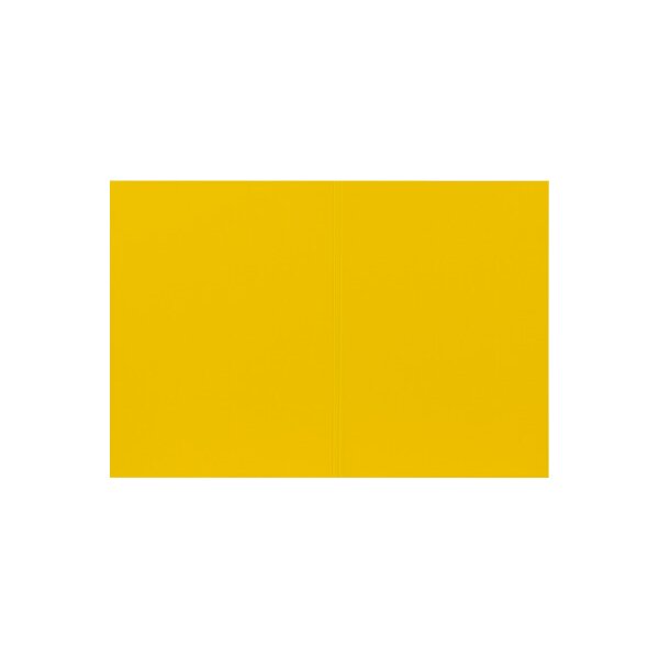 BIELLA Vertikalmappe Recycolor 25342720U 32x23,3/24,3cm, gelb 100 St.