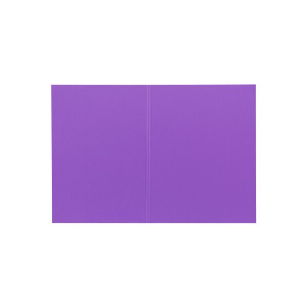 BIELLA Vertikalmappe Recycolor 25342741U 32x23,3/24,3cm, lila 100 St.