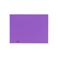 BIELLA Vertikalmappe Recycolor 25342741U 32x23,3/24,3cm,...