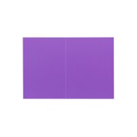 BIELLA Vertikalmappe Recycolor 25342741U 32x23,3/24,3cm, lila 100 St.