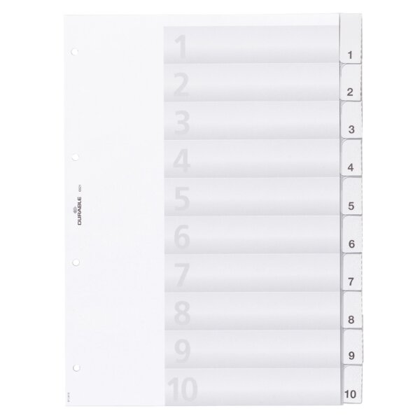 DURABLE Kunststoff-Register, A4, 20-teilig, transparent