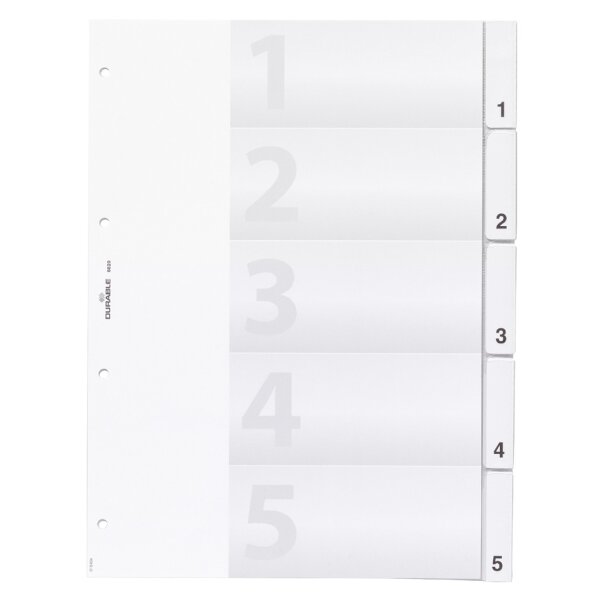 DURABLE Kunststoff-Register, A4, 20-teilig, transparent
