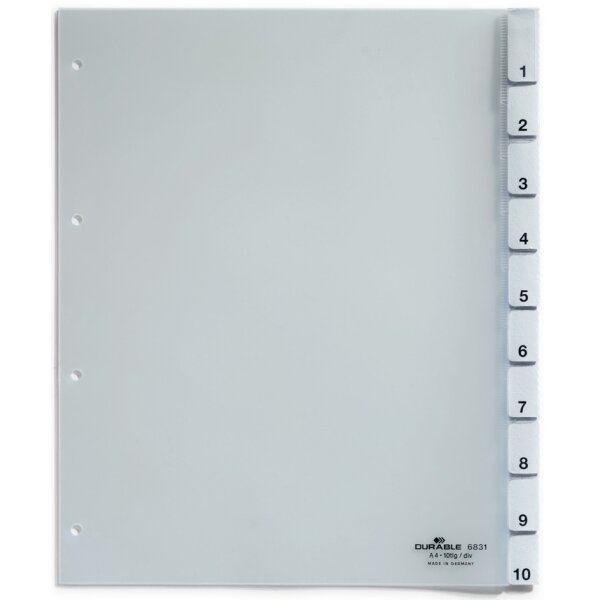 DURABLE Kunststoff-Register, A4, 20-teilig, transparent