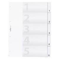 DURABLE Kunststoff-Register, A4, 20-teilig, transparent