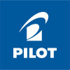 PILOT V-Sign Pen 0,6mm SW-VSP-BL bleu
