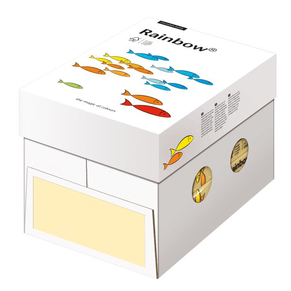 RAINBOW Farbpapier chamois A4 160g - 1 Palette (50000 Blatt)