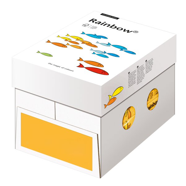 RAINBOW Farbpapier mittelorange A4 80g - 1 Palette (100000 Blatt)