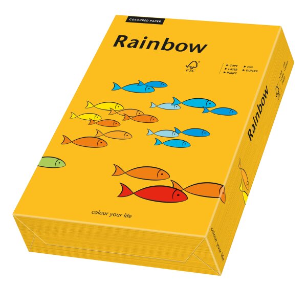 RAINBOW Farbpapier mittelorange A4 80g - 1 Palette (100000 Blatt)