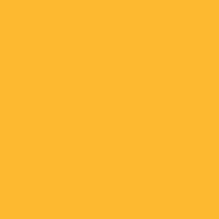 RAINBOW Farbpapier mittelorange A4 80g - 1 Palette (100000 Blatt)