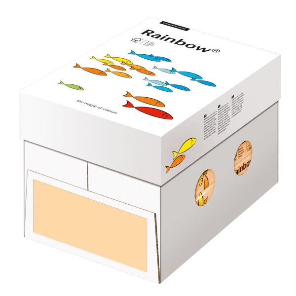 RAINBOW Farbpapier lachs A4 80g - 1 Palette (100000 Blatt)
