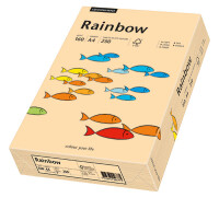 RAINBOW Papier couleur saumon A3 80g - 1 Palette (50000...