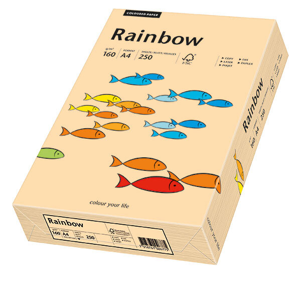 RAINBOW Farbpapier lachs A4 160g - 1 Palette (50000 Blatt)