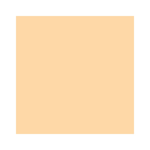 RAINBOW Farbpapier lachs A4 160g - 1 Palette (50000 Blatt)