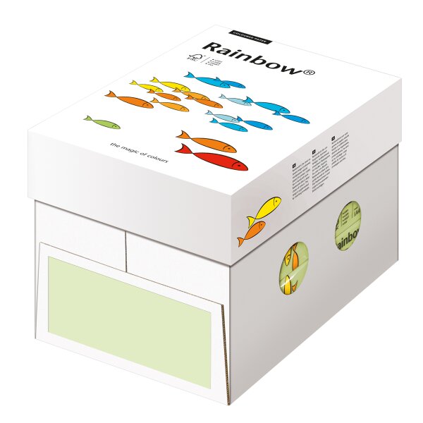 RAINBOW Farbpapier hellgrün A4 160g - 1 Palette (50000 Blatt)