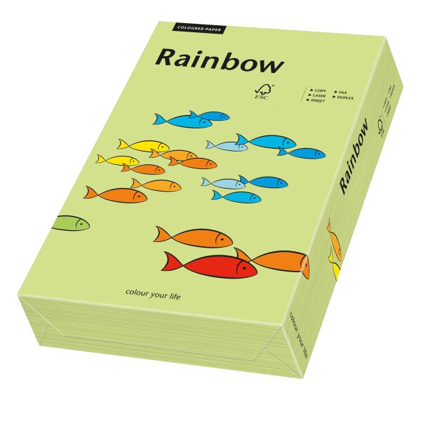 RAINBOW Farbpapier leuchtend grün A4 160g - 1 Palette (50000 Blatt)
