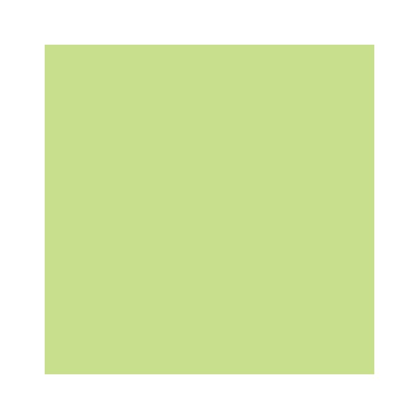 RAINBOW Farbpapier leuchtend grün A4 160g - 1 Palette (50000 Blatt)