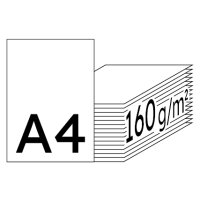 RAINBOW Farbpapier leuchtend grün A4 160g - 1 Palette (50000 Blatt)