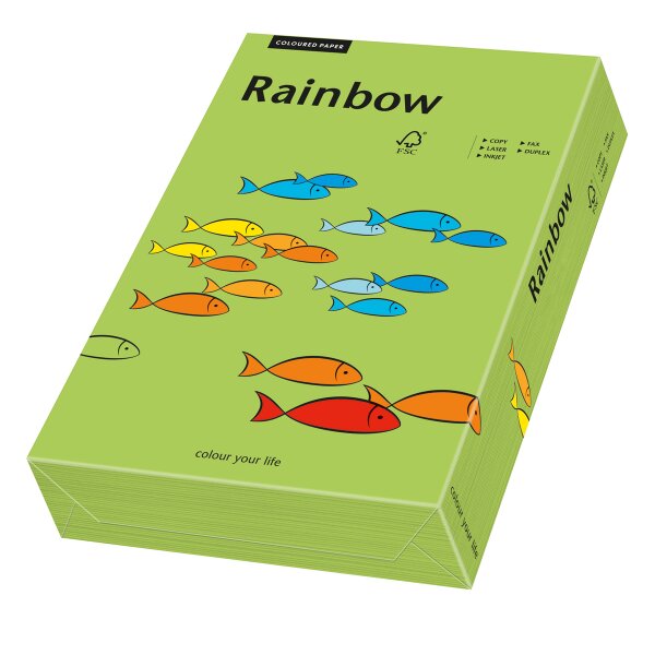 RAINBOW Farbpapier gr&uuml;n A4 80g - 1 Palette (100000 Blatt)
