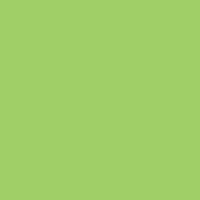 RAINBOW Farbpapier grün A4 80g - 1 Palette (100000 Blatt)