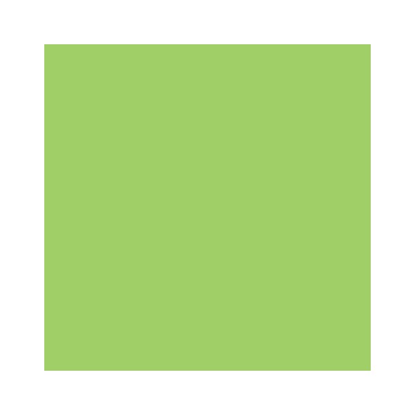 RAINBOW Papier couleur vert A3 80g - 1 Palette (50000 Feuilles)
