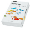 RAINBOW Papier couleur gris clair A3 80g - 1 Palette (50000 Feuilles)
