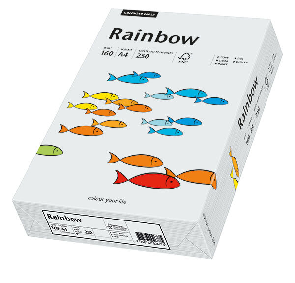 RAINBOW Papier couleur gris clair A4 120g - 1 Palette (50000 Feuilles)