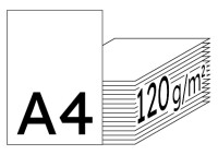 RAINBOW Farbpapier hellgrau A4 120g - 1 Palette (50000 Blatt)