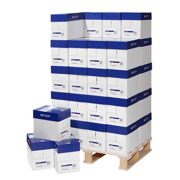 SKY Copy Universalpapier weiss A4 80g - 1 Palette (100000 Blatt)