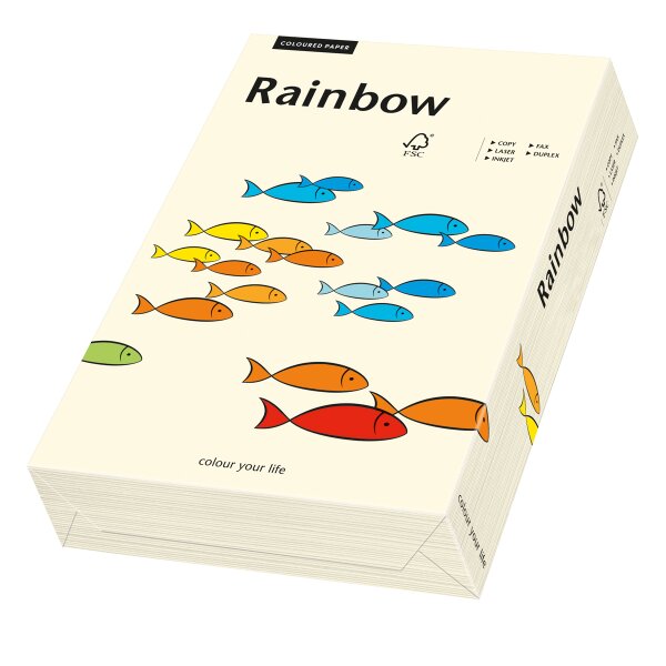 RAINBOW Papier couleur chamois clair A4 80g - 1 Carton (2500 Feuilles)
