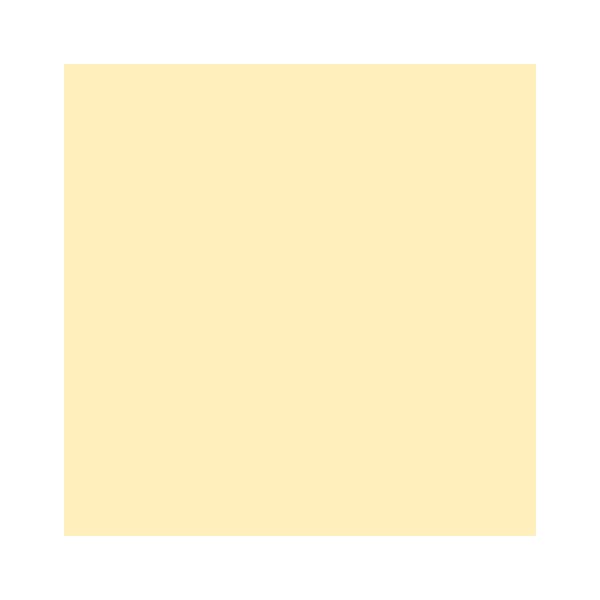 RAINBOW Farbpapier chamois A4 80g - 1 Karton (2500 Blatt)