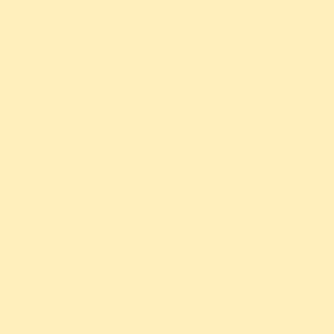 RAINBOW Farbpapier chamois A4 80g - 1 Karton (2500 Blatt)
