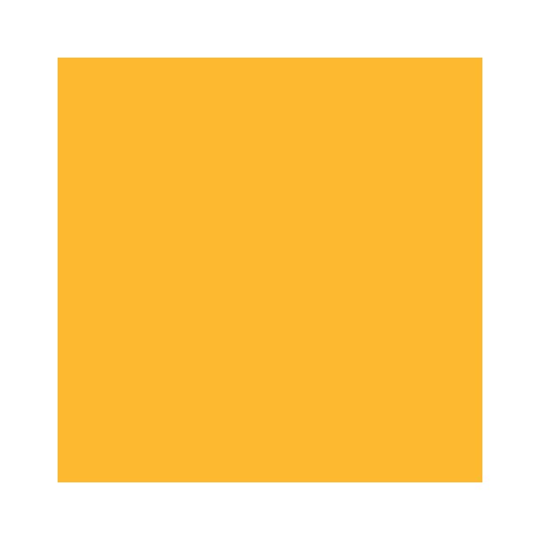 RAINBOW Farbpapier mittelorange A4 160g - 1 Karton (1250 Blatt)