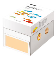 RAINBOW Papier couleur saumon A4 80g - 1 Carton (2500...